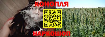 jwh Лесосибирск