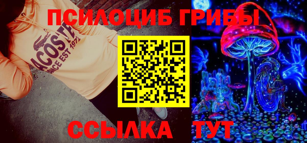 Чехов  цена наркотик  Вход с VPN  Псилоцибиновые грибы Magic Shrooms 